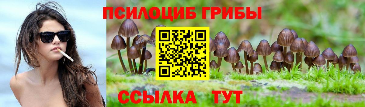 Галлюциногенные грибы Magic Shrooms Михайловск